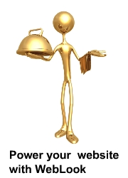 WebLook